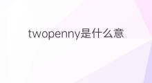 twopenny是什么意思 twopenny的中文翻译、读音、例句