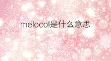 melocol是什么意思 melocol的中文翻译、读音、例句
