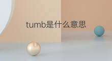 tumb是什么意思 tumb的中文翻译、读音、例句