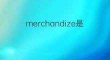 merchandize是什么意思 merchandize的中文翻译、读音、例句