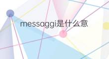 messaggi是什么意思 messaggi的中文翻译、读音、例句