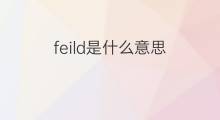 feild是什么意思 英文名feild的翻译、发音、来源
