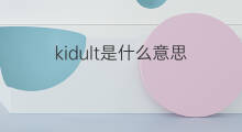 kidult是什么意思 kidult的中文翻译、读音、例句