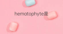hematophyte是什么意思 hematophyte的中文翻译、读音、例句