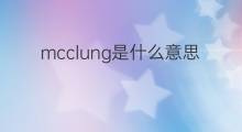 mcclung是什么意思 mcclung的中文翻译、读音、例句