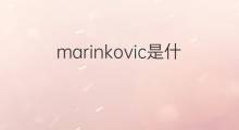 marinkovic是什么意思 marinkovic的中文翻译、读音、例句