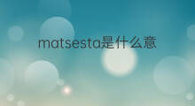 matsesta是什么意思 matsesta的中文翻译、读音、例句