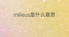 milieus是什么意思 milieus的中文翻译、读音、例句