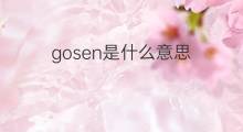 gosen是什么意思 gosen的中文翻译、读音、例句