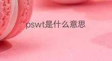 pswt是什么意思 pswt的中文翻译、读音、例句