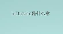 ectosarc是什么意思 ectosarc的中文翻译、读音、例句