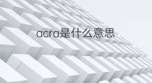 acra是什么意思 acra的中文翻译、读音、例句