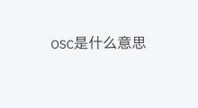 osc是什么意思 osc的中文翻译、读音、例句