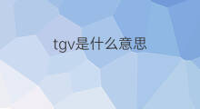 tgv是什么意思 tgv的中文翻译、读音、例句