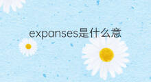 expanses是什么意思 expanses的中文翻译、读音、例句