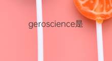 geroscience是什么意思 geroscience的中文翻译、读音、例句