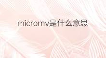 micromv是什么意思 micromv的中文翻译、读音、例句