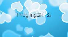 finagling是什么意思 finagling的中文翻译、读音、例句