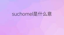 suchomel是什么意思 suchomel的中文翻译、读音、例句