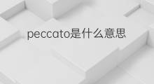 peccato是什么意思 peccato的中文翻译、读音、例句