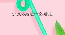 brockes是什么意思 brockes的中文翻译、读音、例句