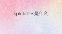 splotches是什么意思 splotches的中文翻译、读音、例句
