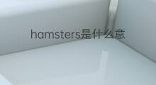 hamsters是什么意思 hamsters的中文翻译、读音、例句