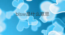 blsw是什么意思 blsw的中文翻译、读音、例句