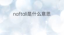 naftali是什么意思 naftali的中文翻译、读音、例句