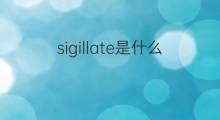 sigillate是什么意思 sigillate的中文翻译、读音、例句