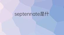 septennate是什么意思 septennate的中文翻译、读音、例句