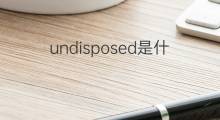 undisposed是什么意思 undisposed的中文翻译、读音、例句