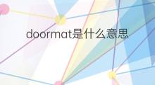 doormat是什么意思 doormat的中文翻译、读音、例句