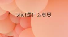snet是什么意思 snet的中文翻译、读音、例句