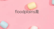 floodplains是什么意思 floodplains的中文翻译、读音、例句