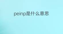 peinp是什么意思 peinp的中文翻译、读音、例句