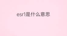 esr1是什么意思 esr1的中文翻译、读音、例句