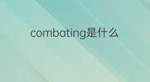 combating是什么意思 combating的中文翻译、读音、例句