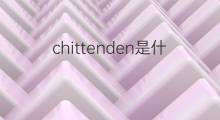 chittenden是什么意思 chittenden的中文翻译、读音、例句