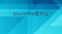 bourienne是什么意思 bourienne的中文翻译、读音、例句