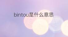 bintou是什么意思 bintou的中文翻译、读音、例句