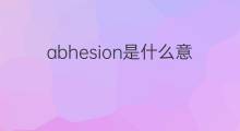 abhesion是什么意思 abhesion的中文翻译、读音、例句