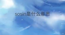 sosin是什么意思 sosin的中文翻译、读音、例句