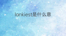 lankiest是什么意思 lankiest的中文翻译、读音、例句