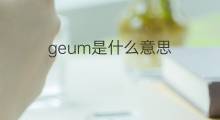 geum是什么意思 geum的中文翻译、读音、例句