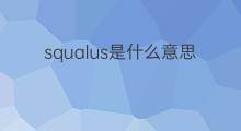squalus是什么意思 squalus的中文翻译、读音、例句