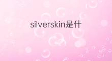 silverskin是什么意思 silverskin的中文翻译、读音、例句