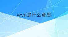 wvri是什么意思 wvri的中文翻译、读音、例句