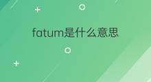 fatum是什么意思 英文名fatum的翻译、发音、来源