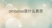 amboise是什么意思 amboise的中文翻译、读音、例句